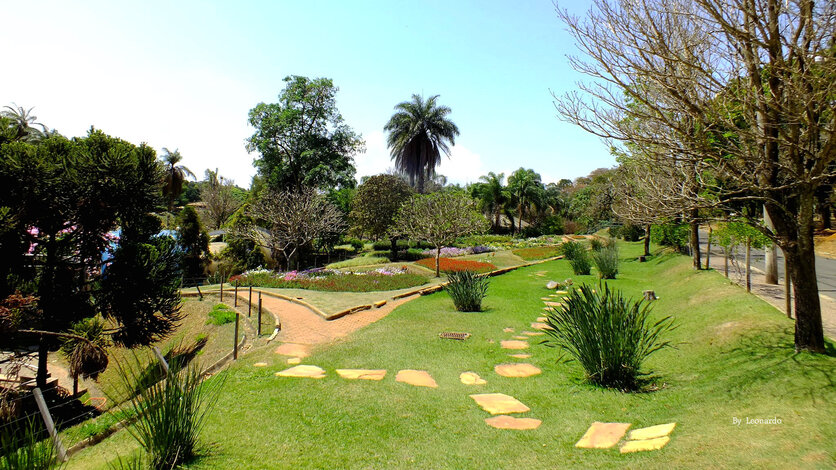 Imagem do zoológico de Belo Horizonte, mostrando um espaço verde com caminhos de pedras que levam a áreas floridas, árvores altas e um céu claro.