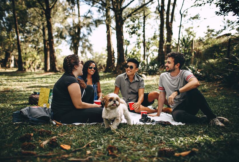 A imagem mostra um grupo de amigos fazendo piquenique em um gramado e um cachorrinho junto para ilustrar o que fazer na primavera