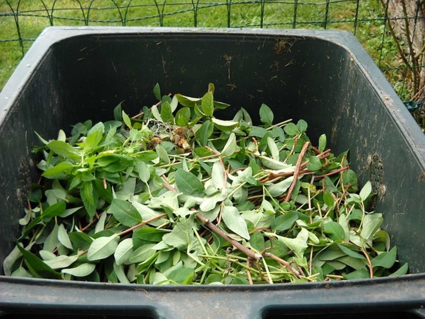 A imagem mostra uma composteira aberta com muitas folhas para ilustrar a diferença da composteira rural para a composteira doméstica