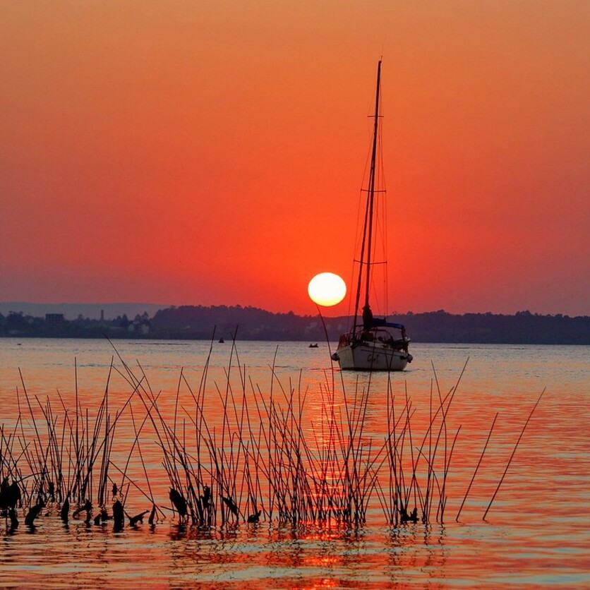 Um pôr do sol deslumbrante refletido na água, com um barco à vela em silhueta navegando suavemente. Na parte inferior da imagem, há uma vegetação aquática saliente, enquanto o céu é gradualmente colorido em tons de laranja e vermelho.