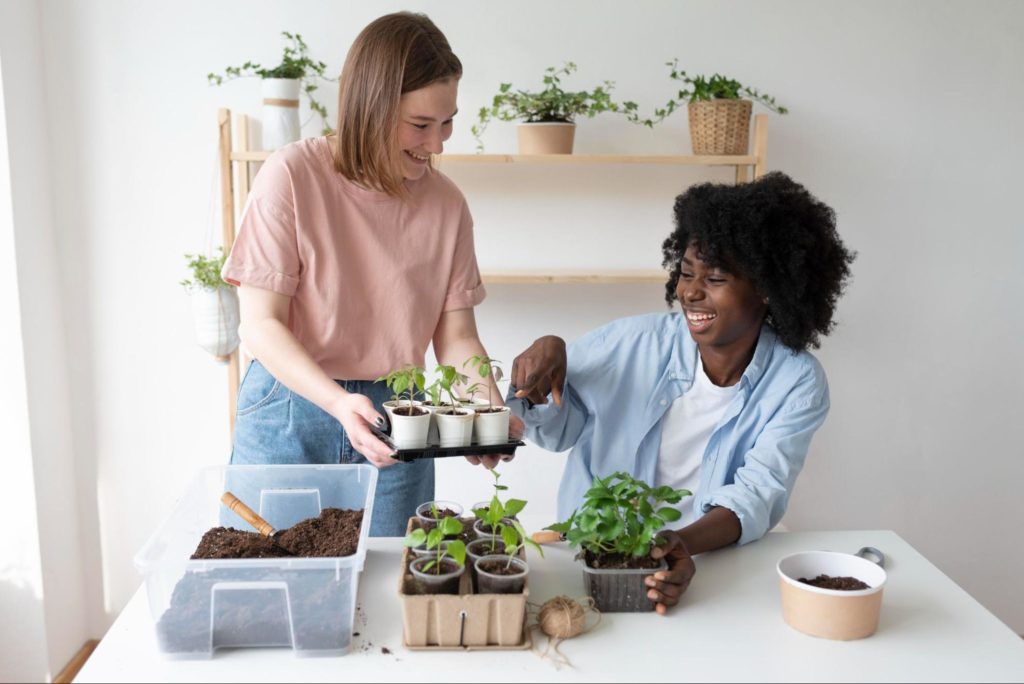 Duas mulheres organizando pequenas mudas de plantas para apartamento.