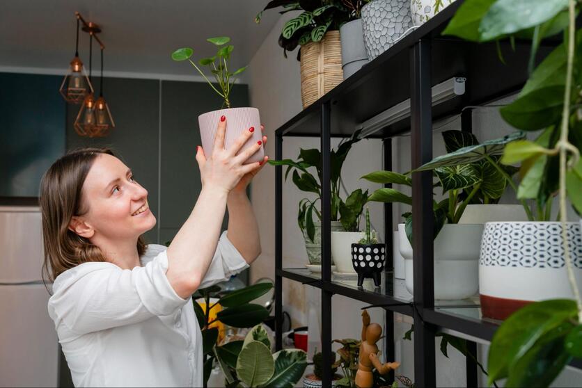Mulher adulta sorrindo, enquanto coloca um vaso de plantas em uma estante alta já decorada com diversas outras espécies.