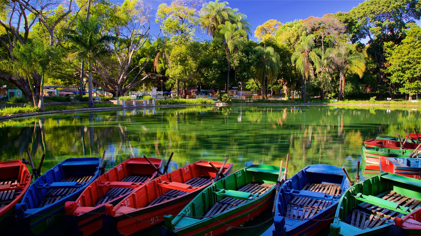 Vista do Parque Municipal Américo Renné Giannetti, com barcos coloridos à beira de um lago sereno, cercado por vegetação exuberante e árvores.